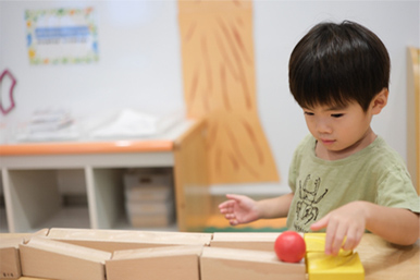 わくわくピサーロの森施設写真１